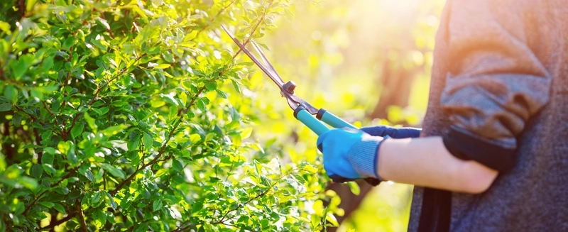 Nos services pour l'entretien de votre jardin