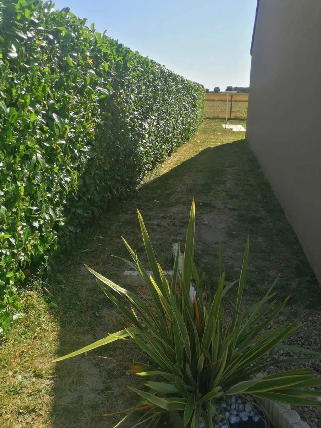 Faites appel à Mister Hameau pour vos travaux de jardin