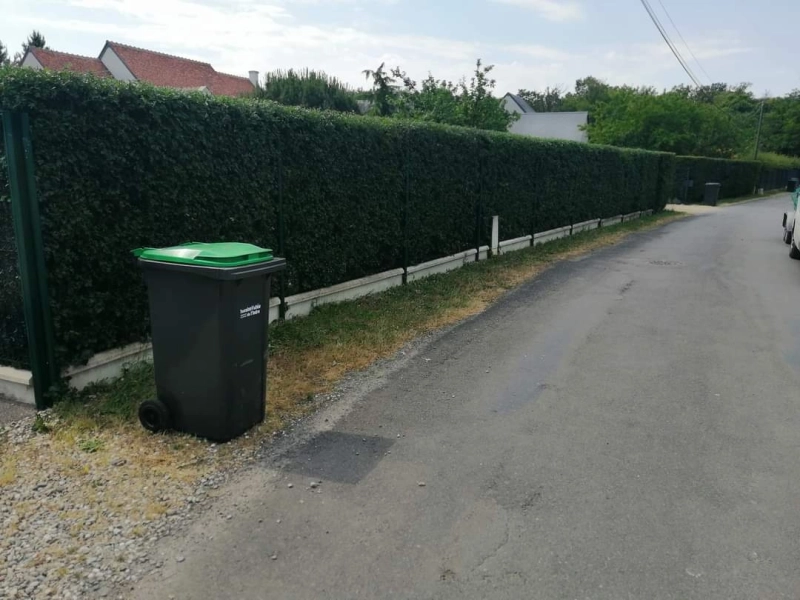 Taille de haie à Monbazon