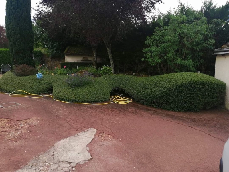 Taille à Francueil